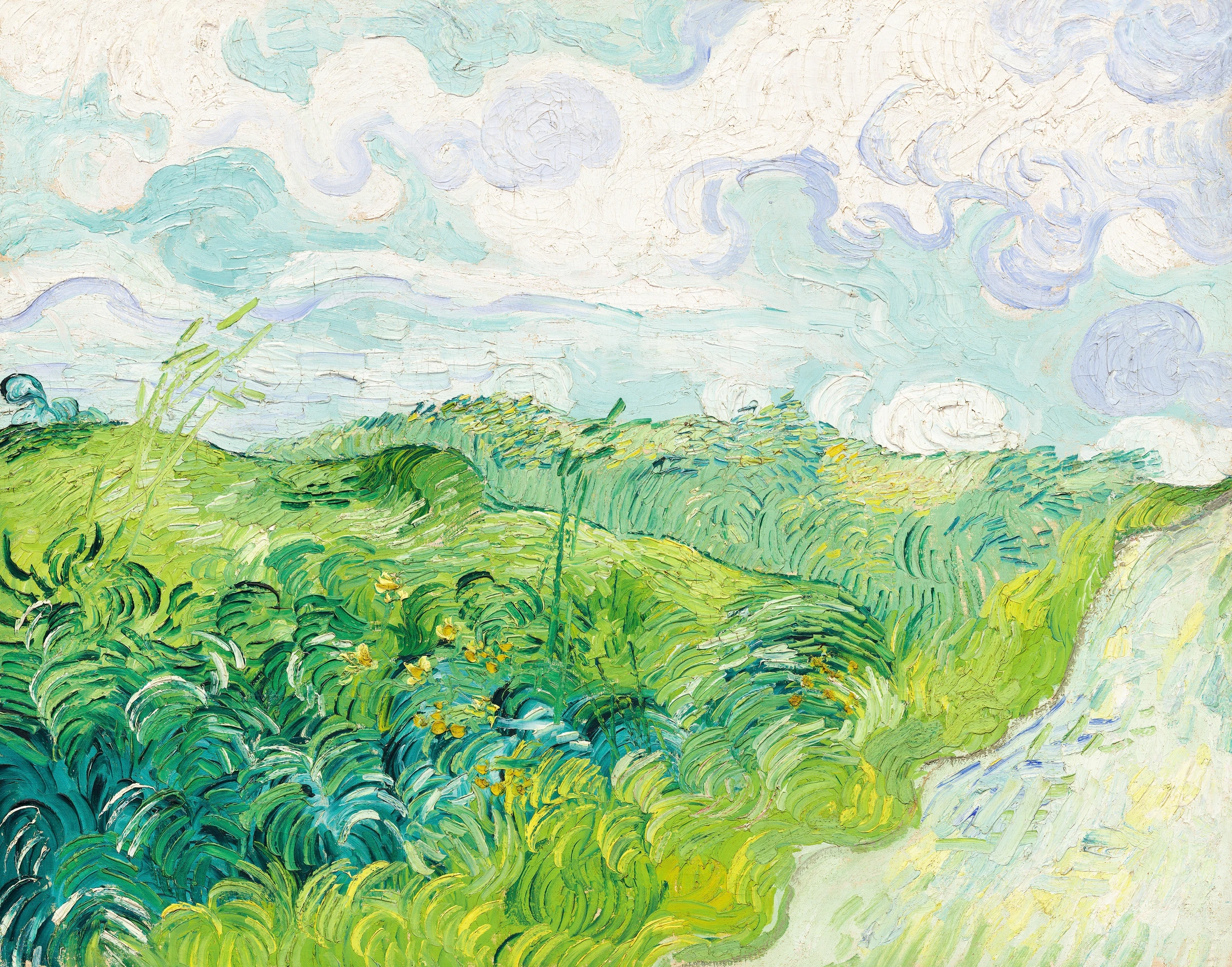 Green Wheat Fields, Auvers (1890) by Vincent Van Gogh