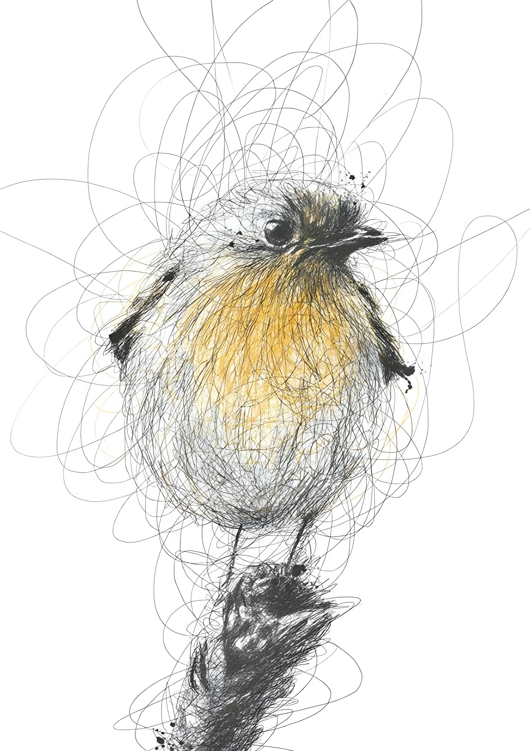 Yellow Glow Within Tangled Lines