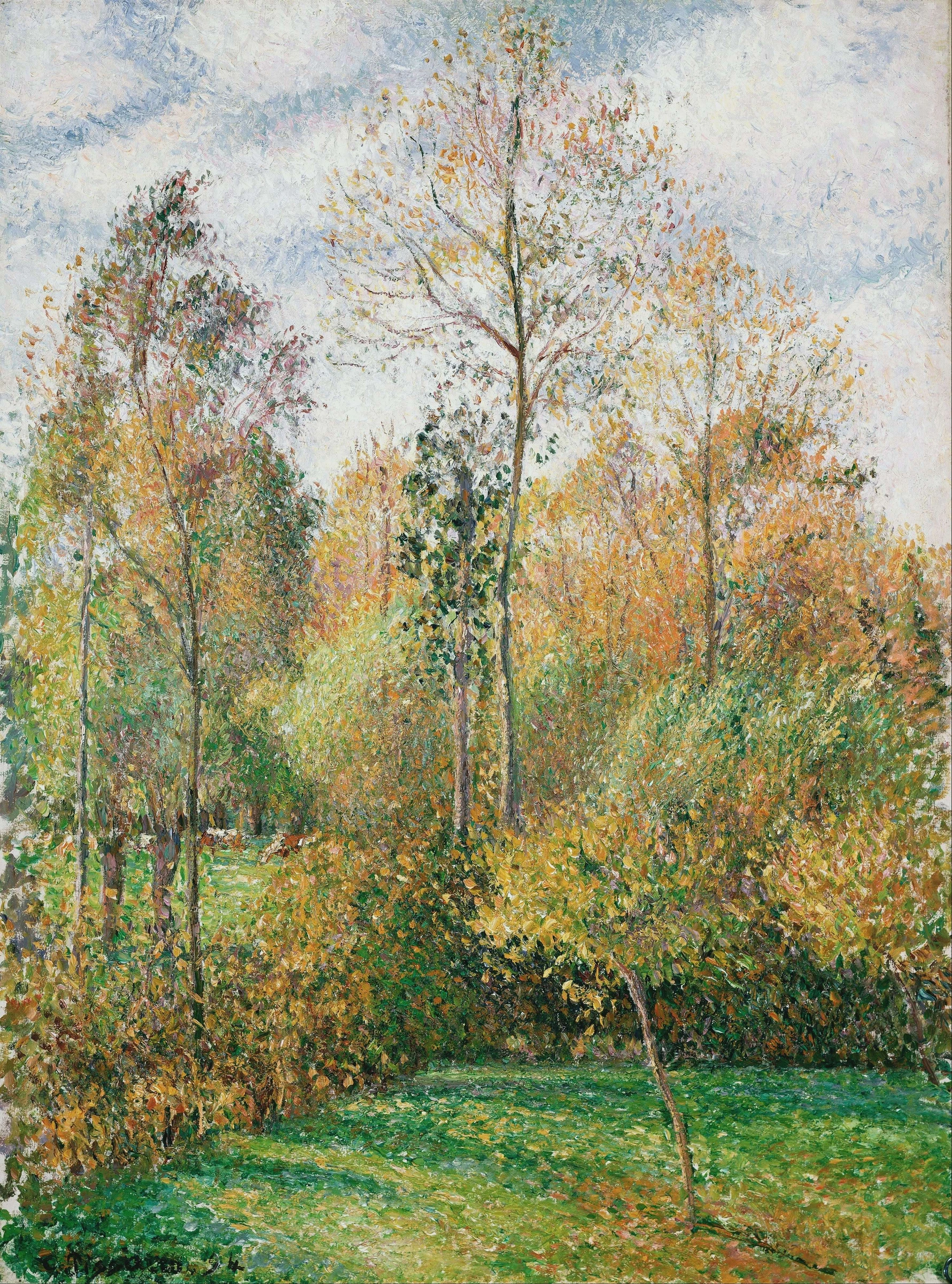 Poplars, Autumn, 1894