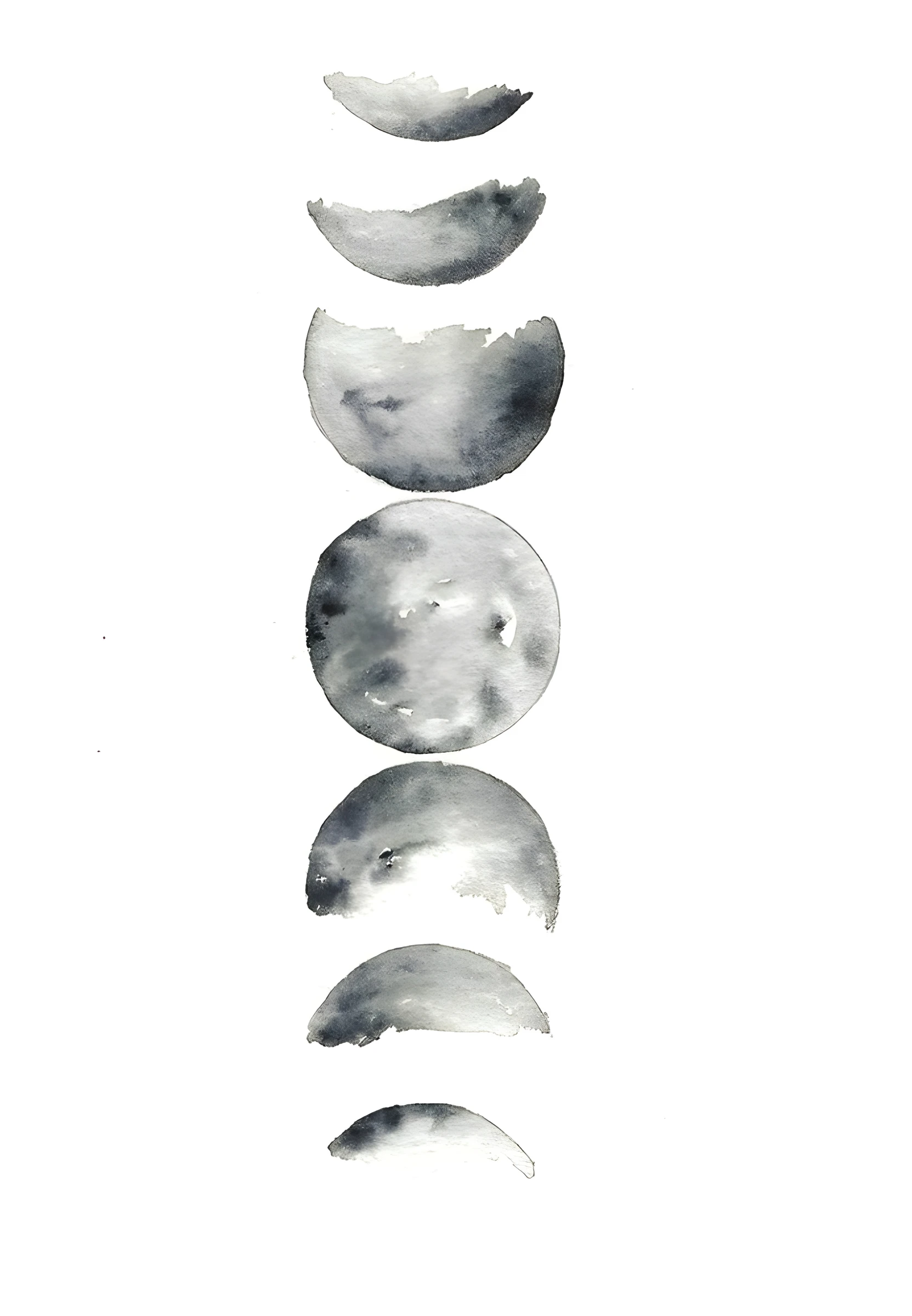 Vertical Moon Phase Study