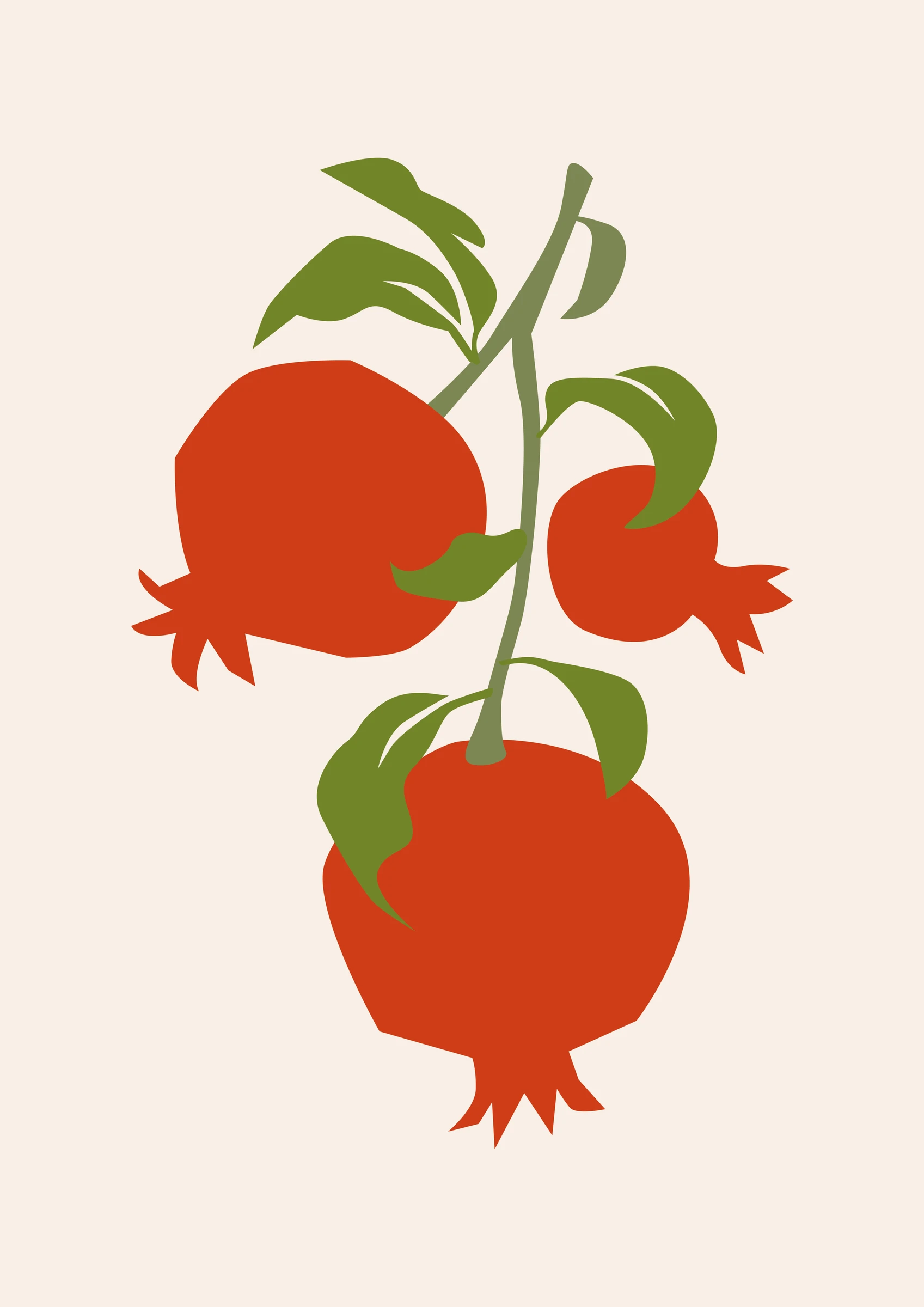 Pomegranates on a Leafy Branch