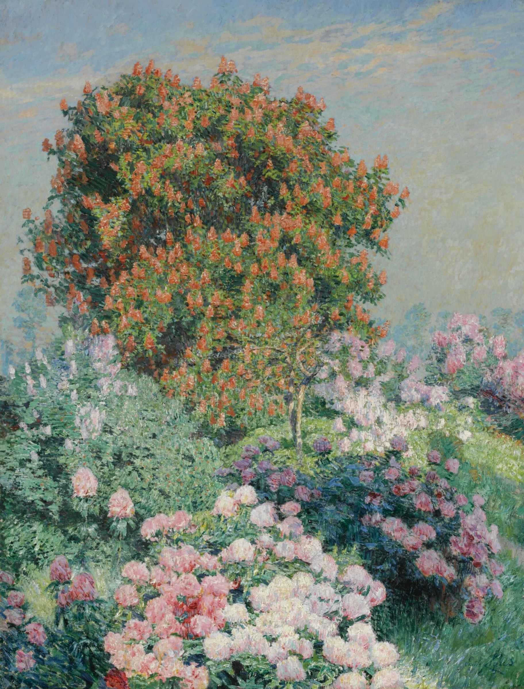 Flowering Shrub Above Garden Blooms