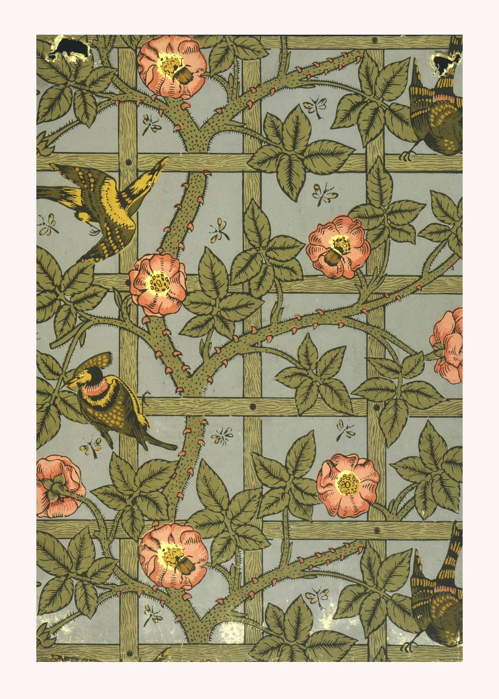 Flowering Vines on a Geometric Trellis