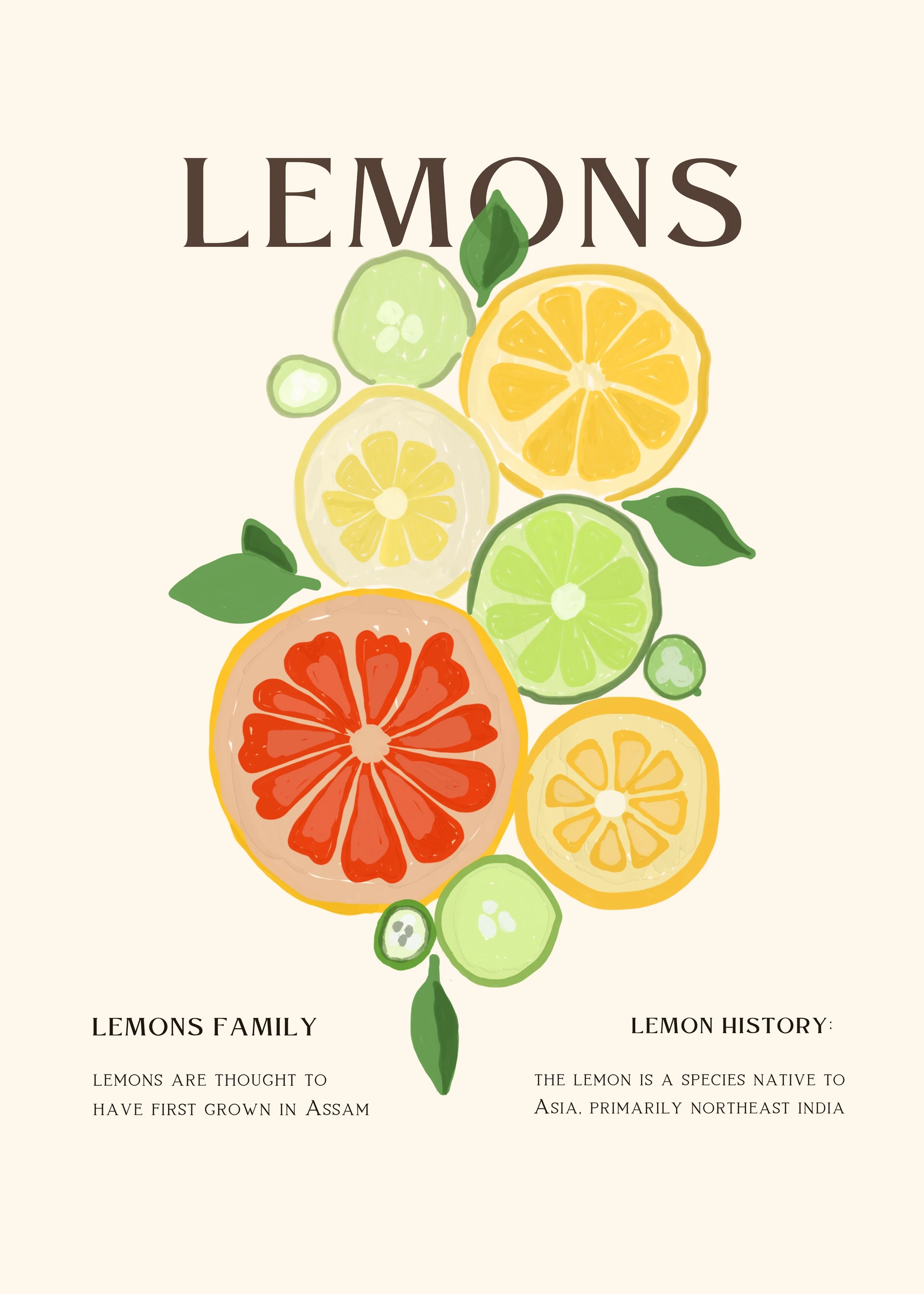 Lemons and Citrus Botanical Poster