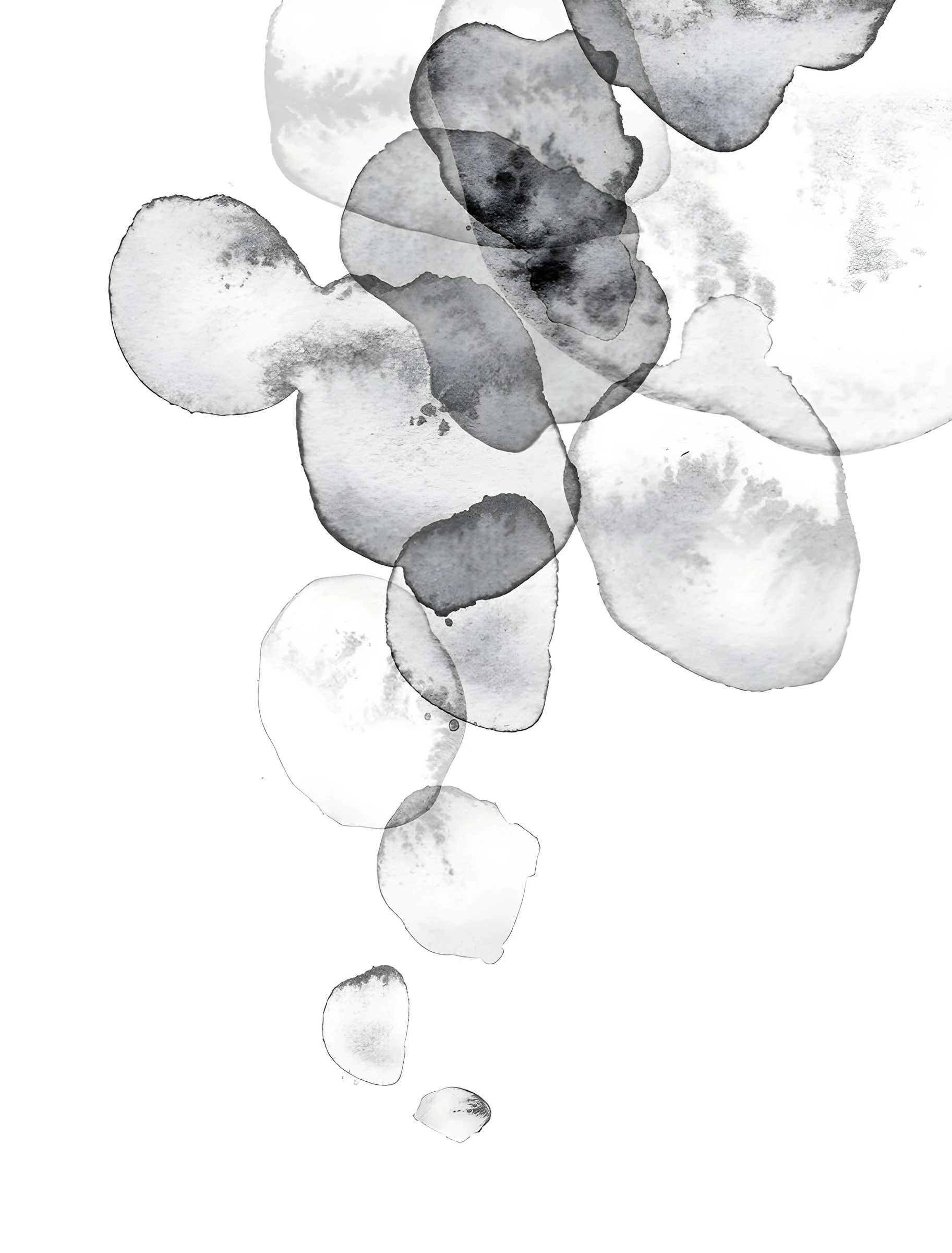 Floating Translucent Grey Forms