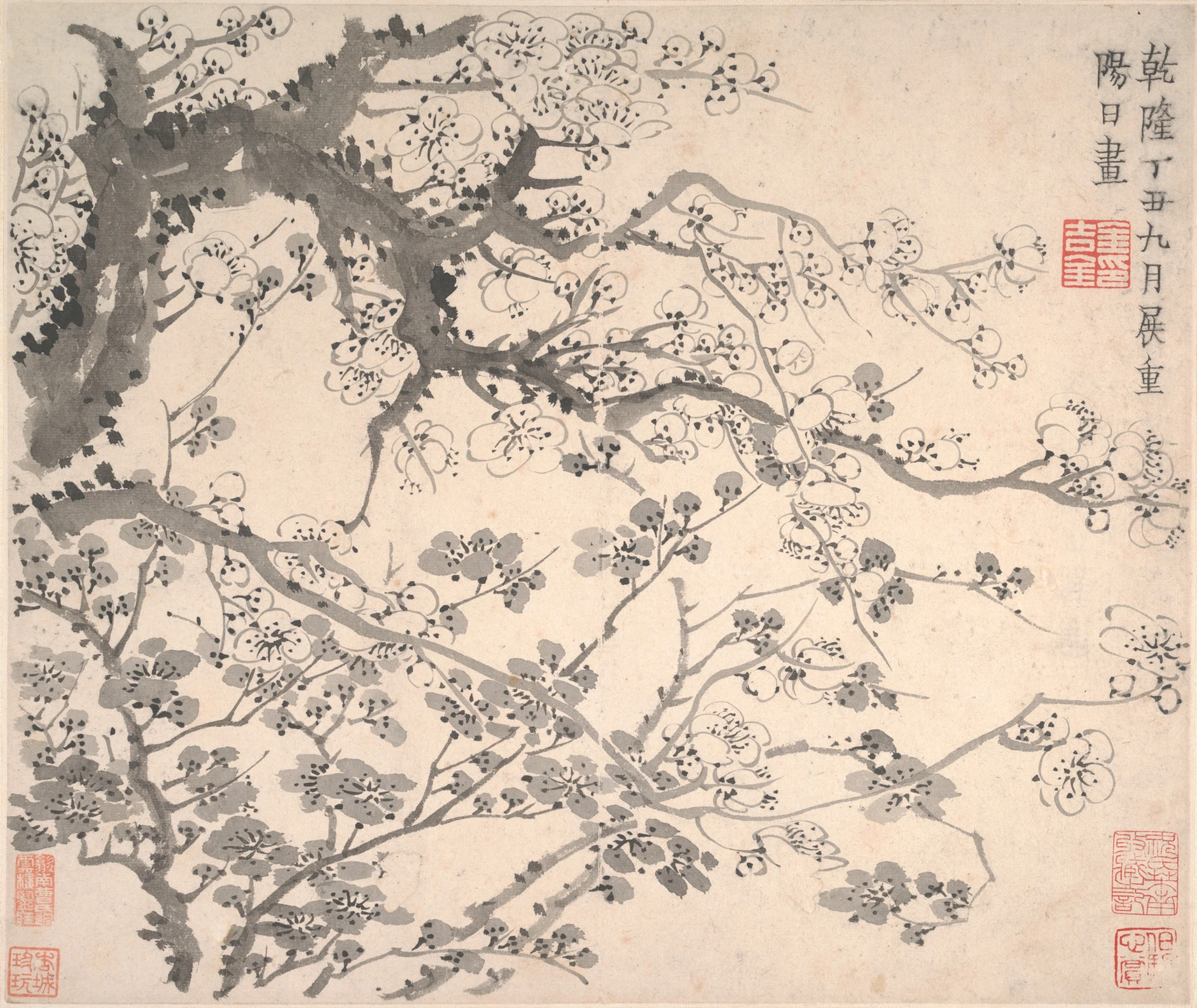 Plum blossoms by Jin Nong