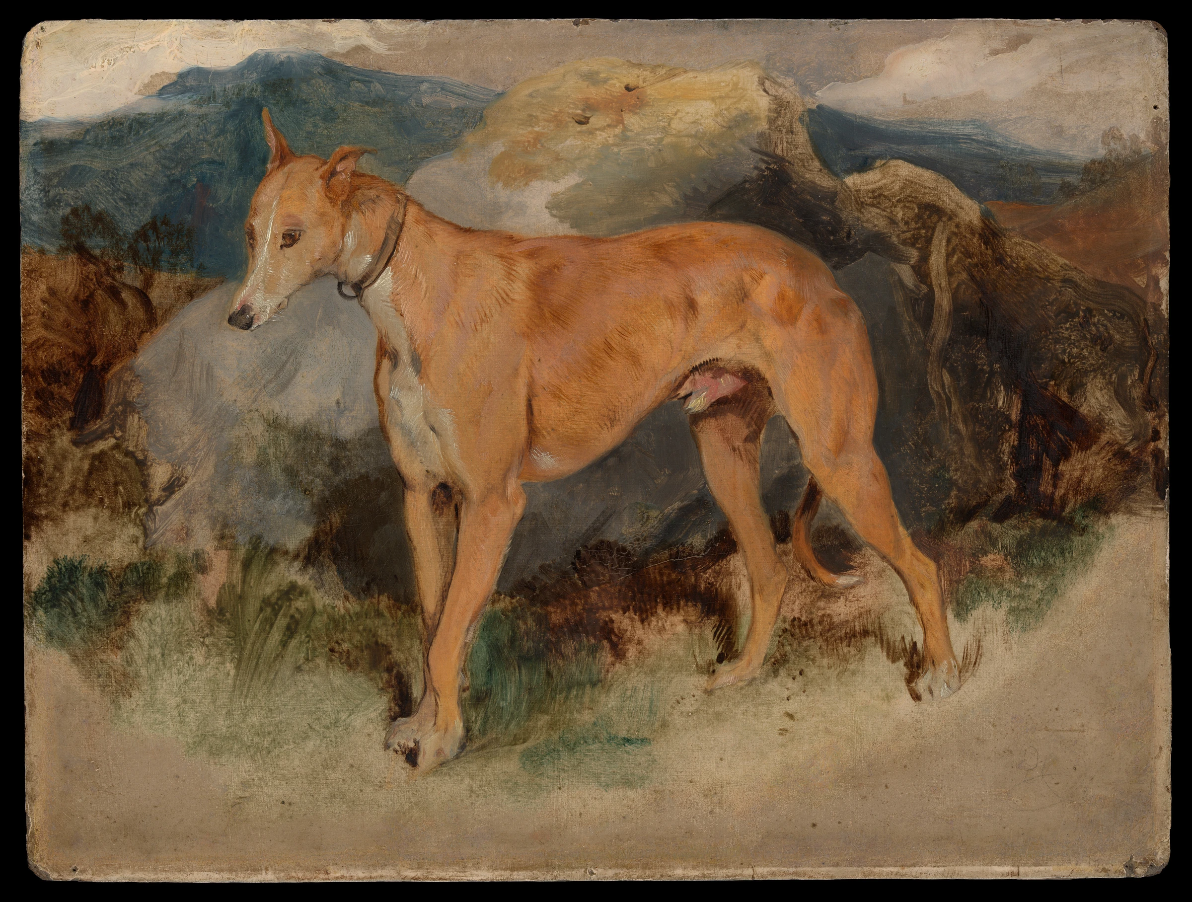 A Deerhound by Sir Edwin Henry Landseer